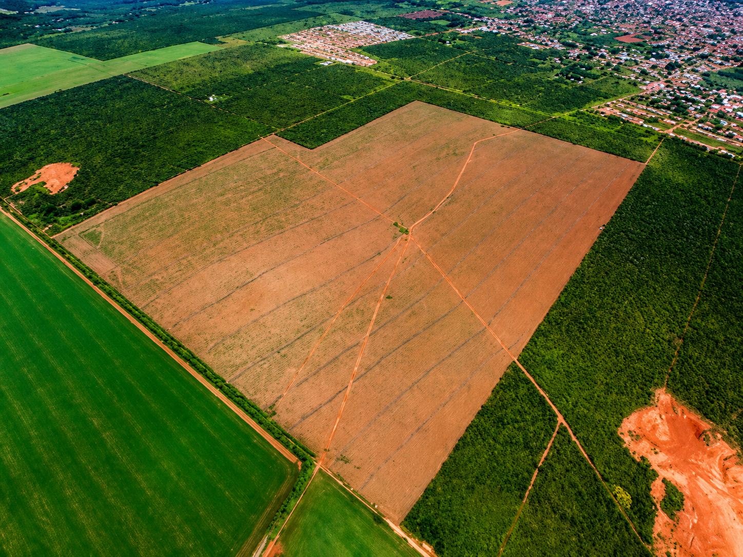 Montanhas e vegetação em uma paisagem natural